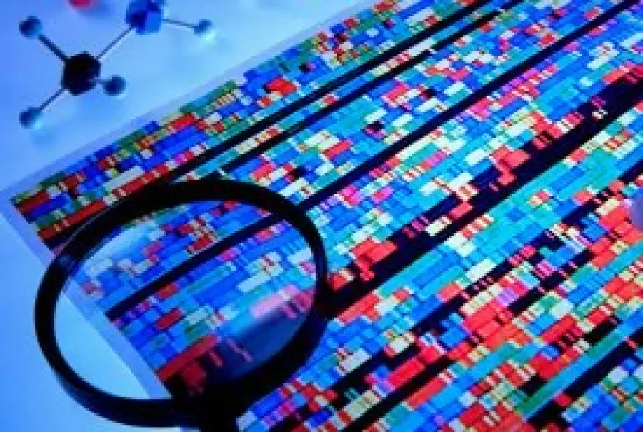 Come riconoscere l'età genetica