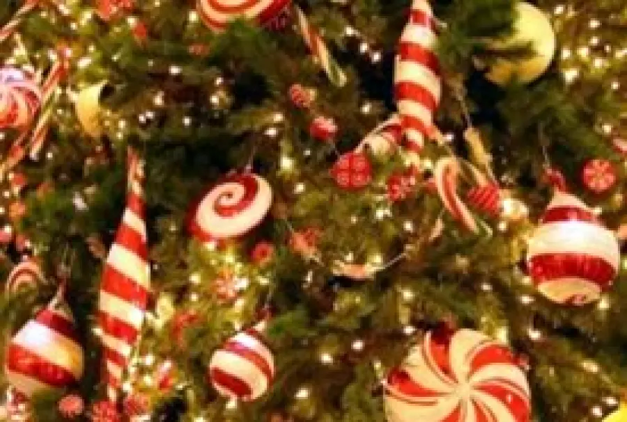 Come decorare l'albero in modo originale