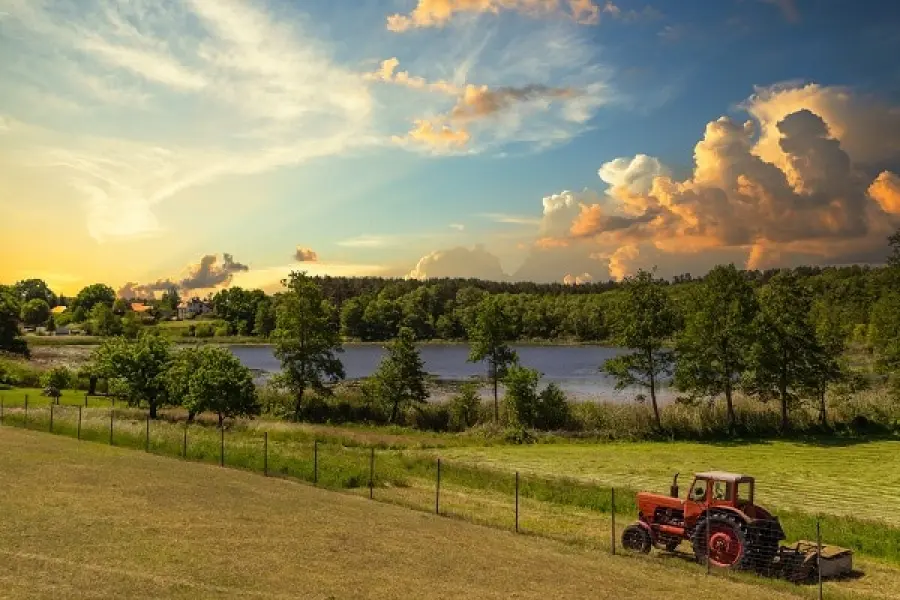 Le marche migliori per i trattori usati della tua azienda