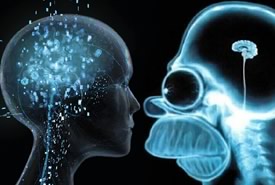 L'uomo sempre meno intelligente