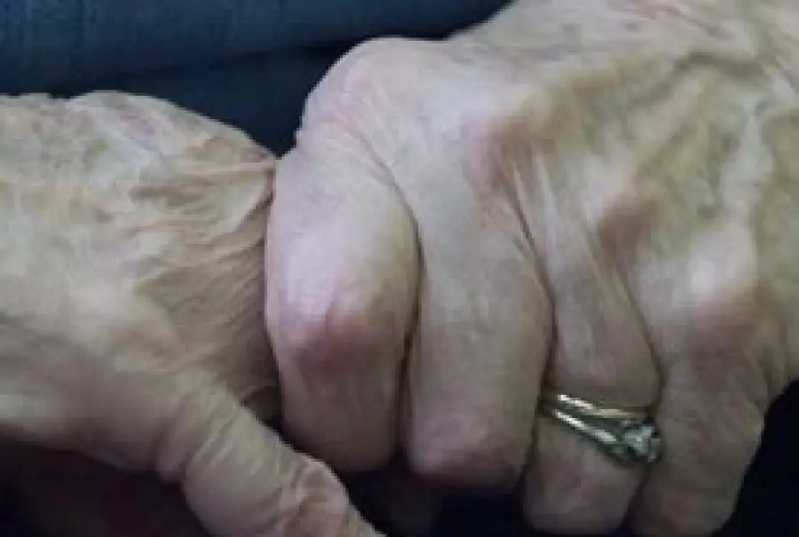 Curare l'Alzheimer: un nuovo studio porta importanti novità