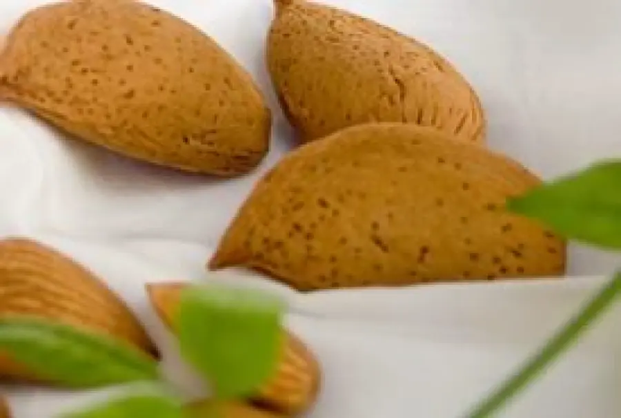 Il torrone alle mandorle, delizia del Natale