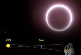 Eclissi Solare Totale in diretta LIVE dall'Australia