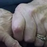 Curare l'Alzheimer: un nuovo studio porta importanti novità