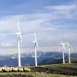 Energia Eolica, in Italia piace sempre di più