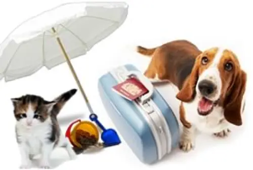 Animali domestici: non abbandonateli, portateli in vacanza!