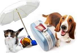 Animali domestici: non abbandonateli, portateli in vacanza!