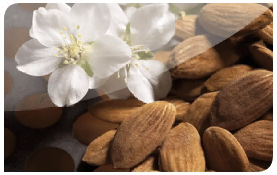 Soft-peeling all’acido mandelico