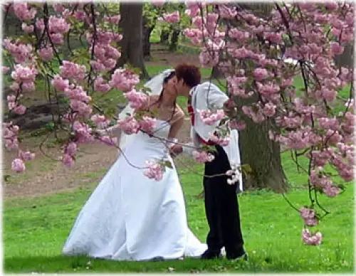 Un rinfresco da sogno per il vostro matrimonio