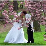 Un rinfresco da sogno per il vostro matrimonio