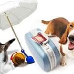 Animali domestici: non abbandonateli, portateli in vacanza!