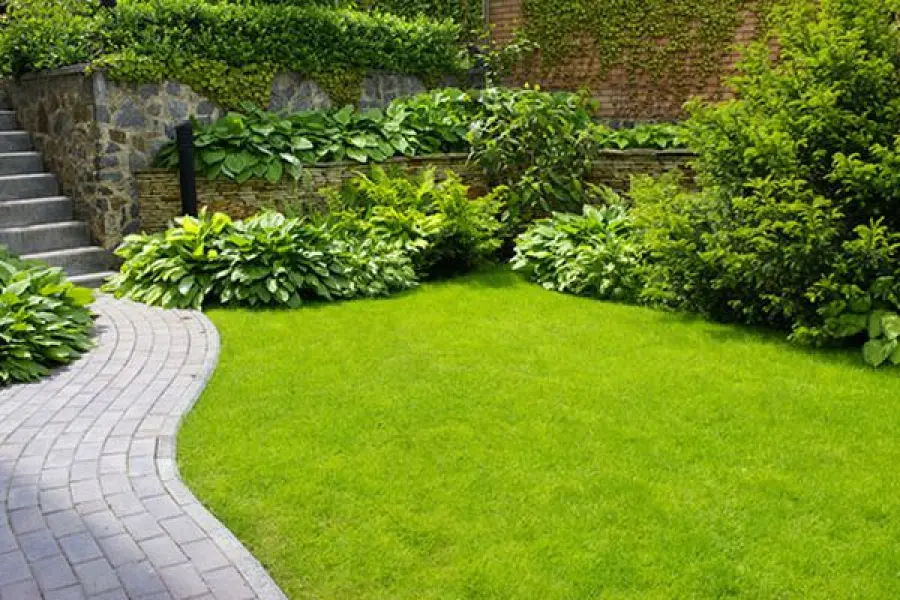 Curare il giardino: quali sono gli strumenti indispensabili?