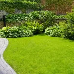 Curare il giardino: quali sono gli strumenti indispensabili?