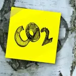 Investire nella green economy: arrivano i fondi a zero emissioni