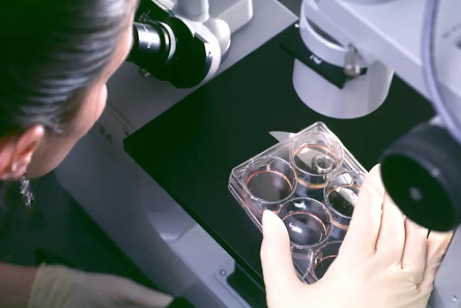 Hiv: vaccino dalla Spagna