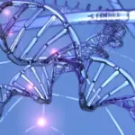 Identificato il gene la cui mutazione provoca la SLA