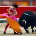 La Corrida è stata vietata in Catalogna