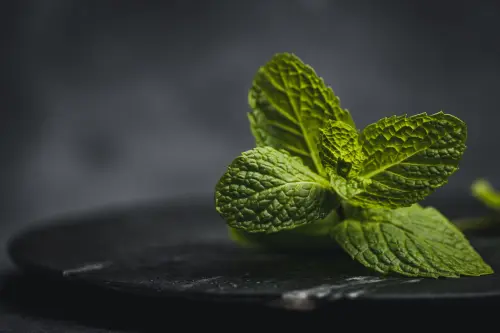 Piante aromatiche da davanzale: guida pratica