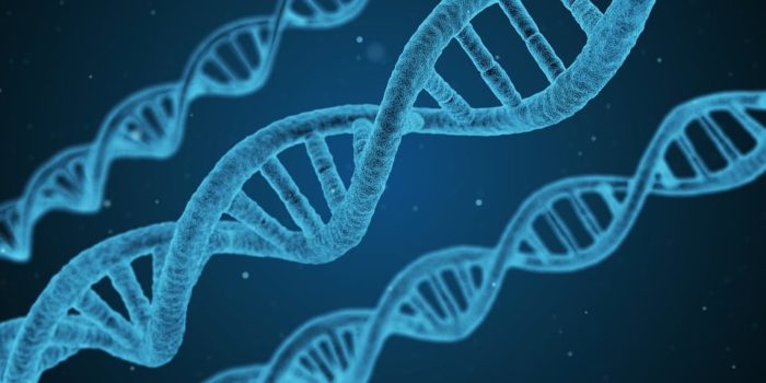 Investire in biotecnologie: arriva CRISPR