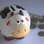 Report Consob: un italiano su 3 non sa cosa sia un investimento