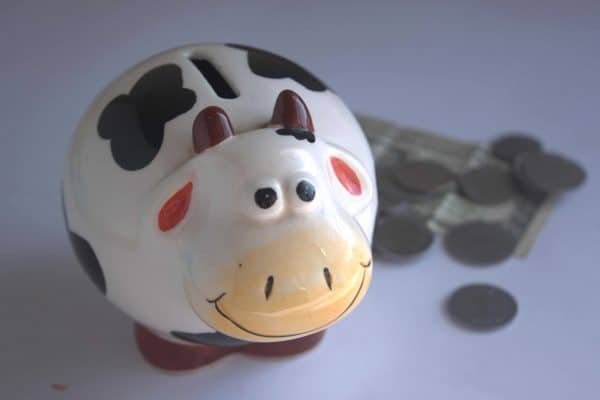 Report Consob: un italiano su 3 non sa cosa sia un investimento