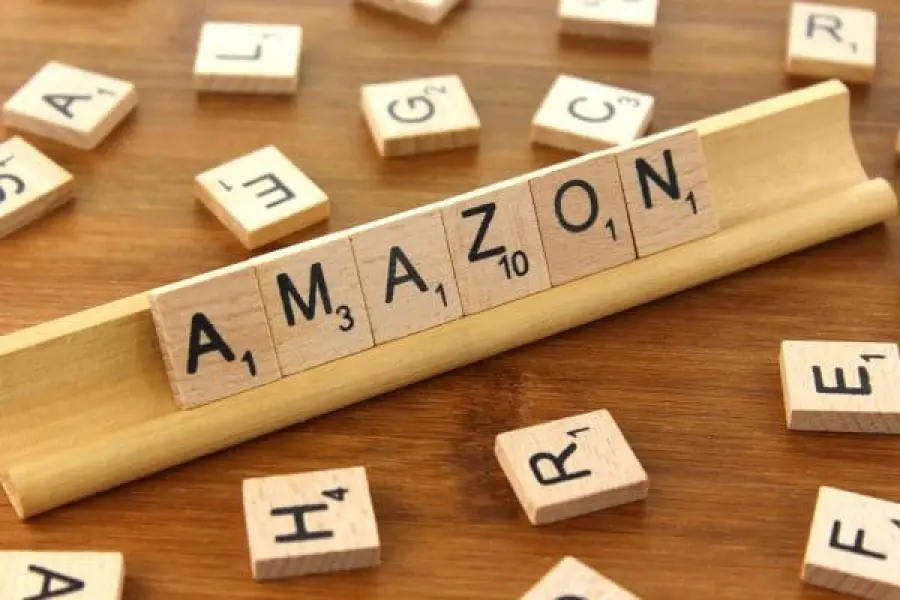 Amazon, multa per evasione da 250 milioni