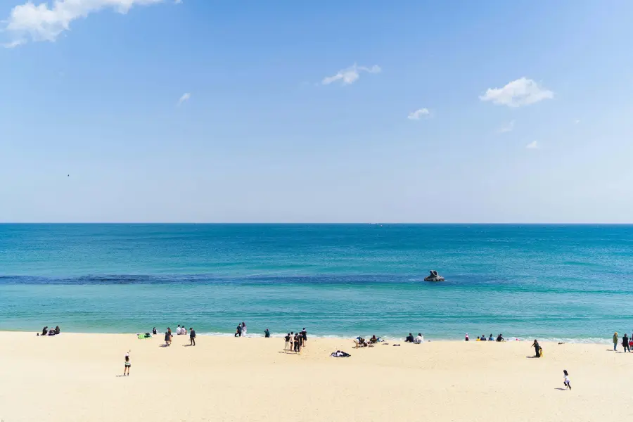 Come organizzare un viaggio invernale nei posti più belli del mondo