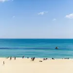 Come organizzare un viaggio invernale nei posti più belli del mondo