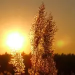 Come Risparmiare Denaro in Estate: Consigli 2016