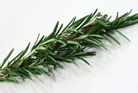 L'odore di rosmarino per aiutare la memoria