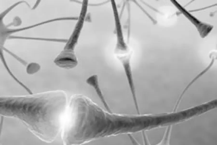 Quantificare il dolore tramite immagini del cervello