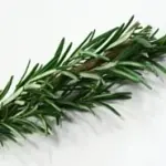 L'odore di rosmarino per aiutare la memoria