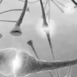 Quantificare il dolore tramite immagini del cervello