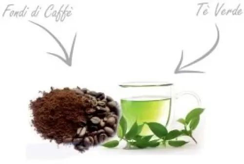 Caffè e tè verde contro il rischio ictus?