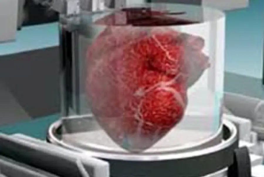 Stampanti 3D: in grado di stampare organi umani