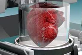 Stampanti 3D: in grado di stampare organi umani