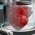 Stampanti 3D: in grado di stampare organi umani