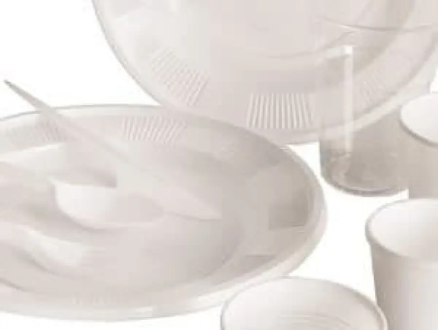 Piatti plastica: perchè conviene non usarli