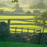 Yorkshire, scopriamo questo bellissimo posto